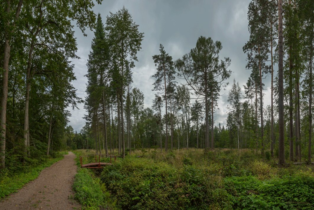 Лисинский