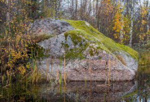 Валун в Халила (Сосновый Бор), фото: Г.Н.Попов, 2017.